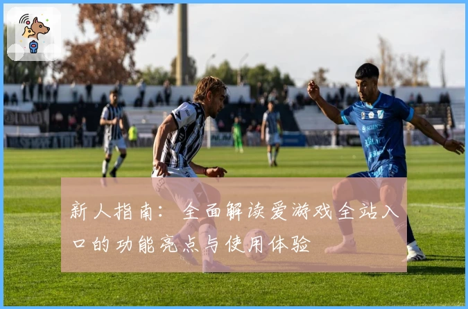 新人指南：全面解读爱游戏全站入口的功能亮点与使用体验